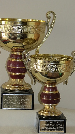 Triples Cup